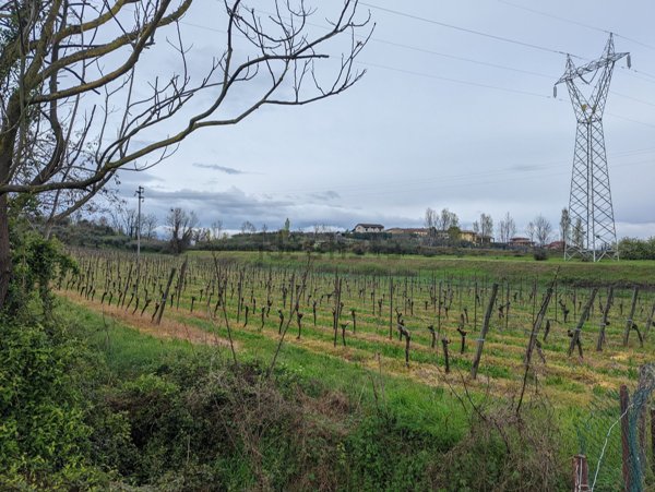 terreno agricolo in vendita a Bussolengo
