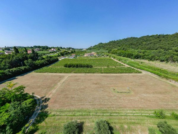 terreno agricolo in vendita a Bussolengo