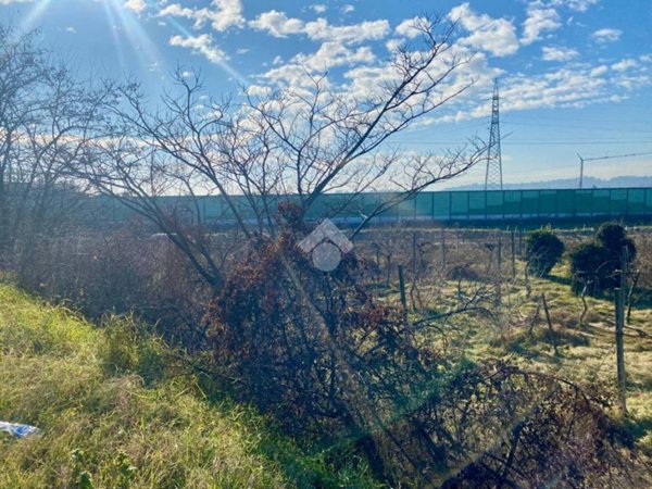 terreno agricolo in vendita a Bussolengo