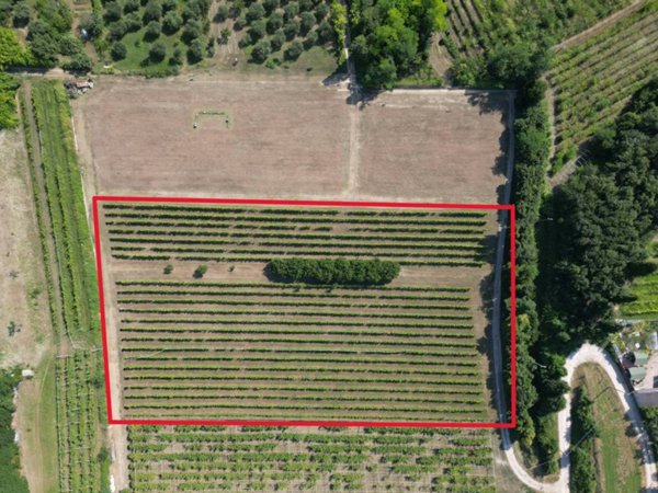 terreno agricolo in vendita a Bussolengo