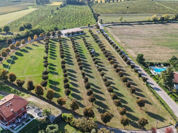 terreno agricolo in vendita a Bussolengo