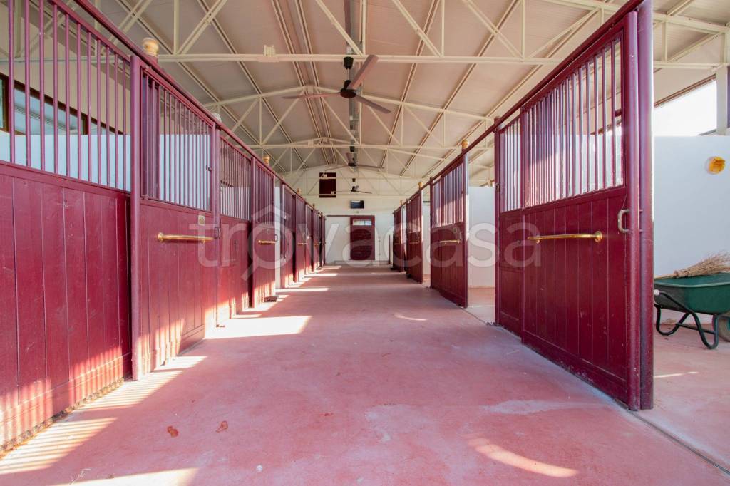 casa indipendente in vendita a Bussolengo