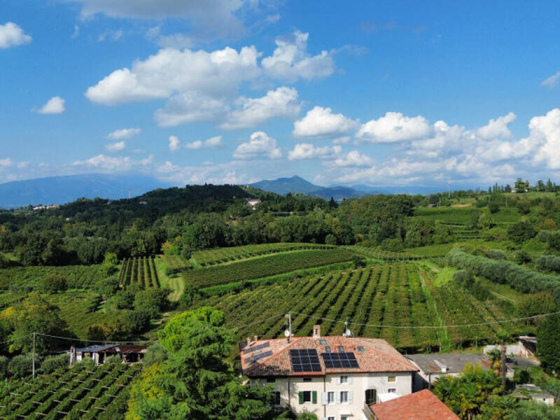 terreno agricolo in vendita a Bussolengo