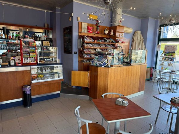 immagine annuncio 0 di 7