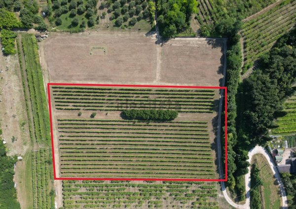 terreno agricolo in vendita a Bussolengo