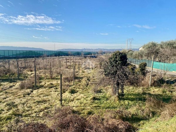 terreno agricolo in vendita a Bussolengo