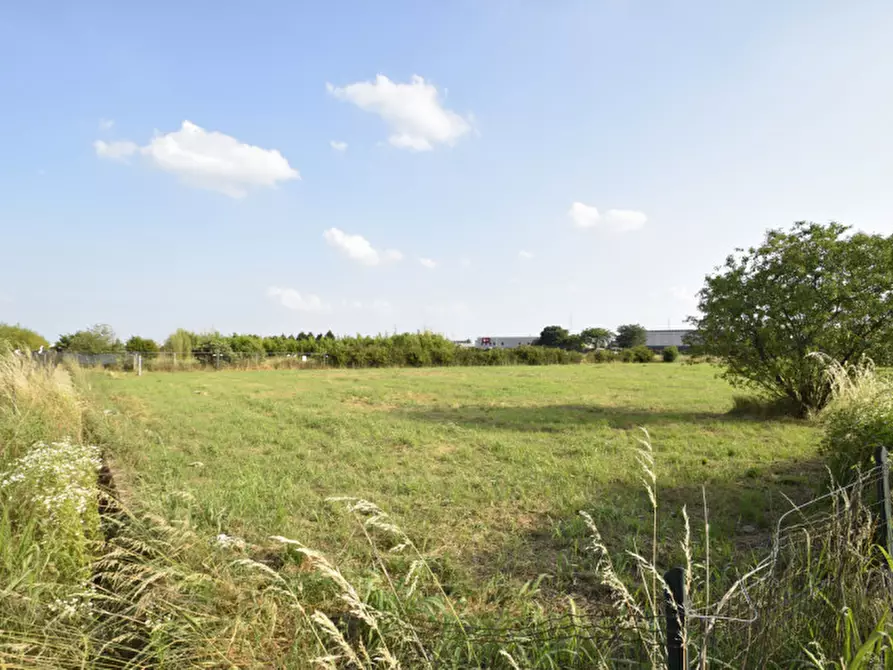 terreno agricolo in vendita a Bussolengo