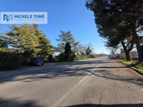 terreno agricolo in vendita a Bussolengo