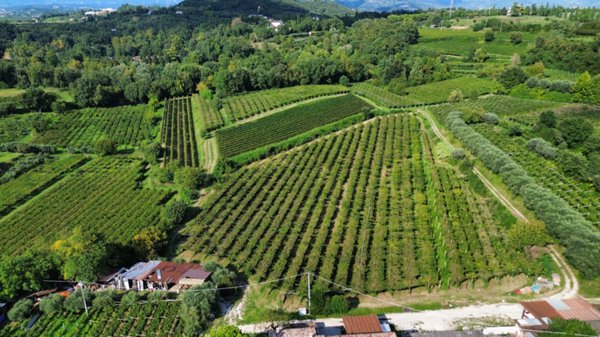 terreno in vendita a Bussolengo