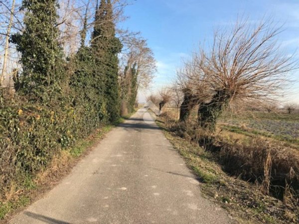 terreno edificabile in vendita a Buttapietra