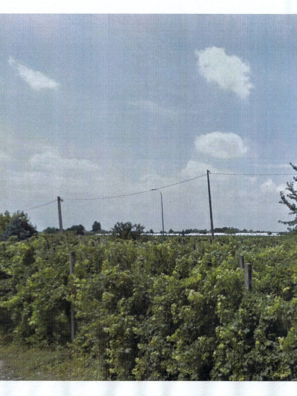 casa indipendente in vendita a Buttapietra