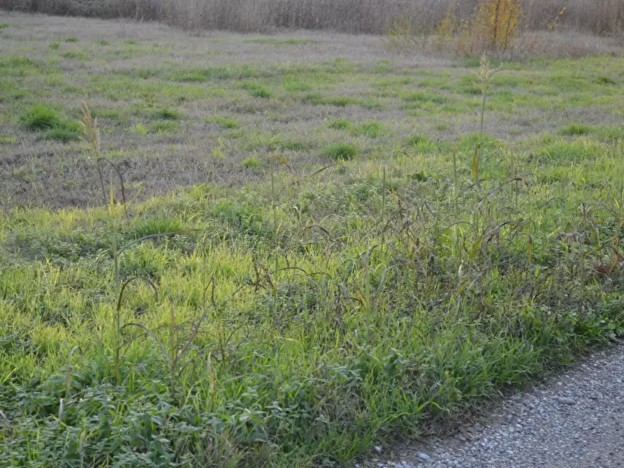 terreno industriale in vendita a Buttapietra