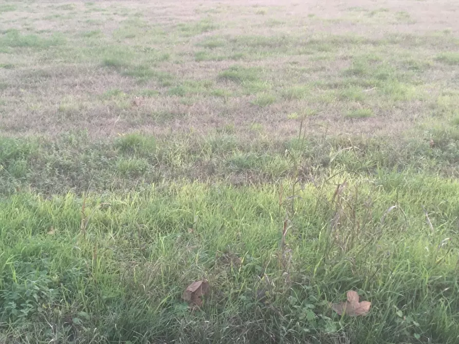 terreno edificabile in vendita a Buttapietra