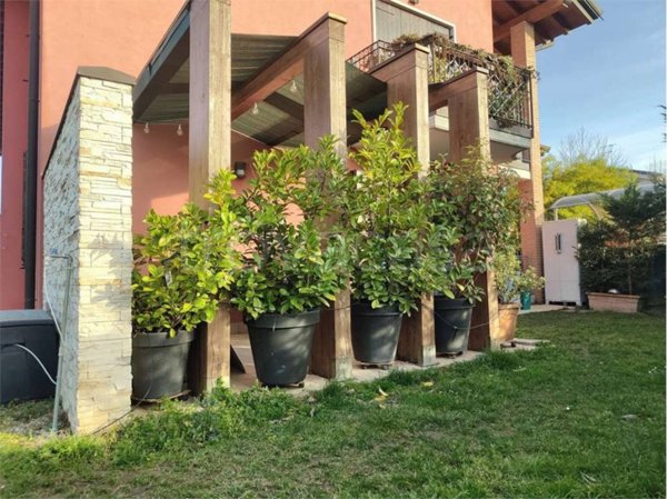 appartamento in vendita a Buttapietra
