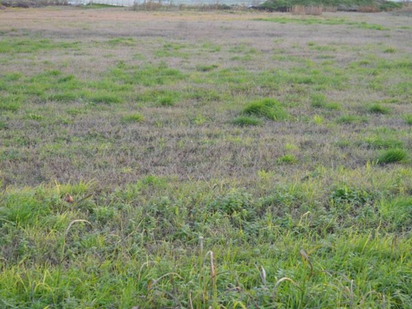 terreno in vendita a Buttapietra in zona Marchesino