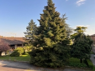 casa indipendente in vendita a Caldiero