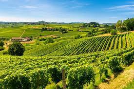 terreno agricolo in vendita a Caldiero