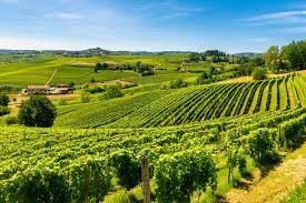 ufficio in vendita a Caldiero