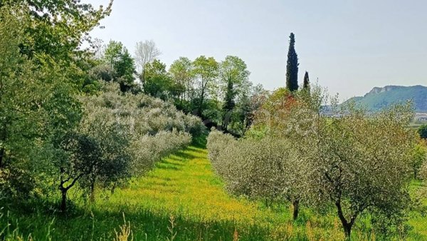 terreno agricolo in vendita a Caprino Veronese