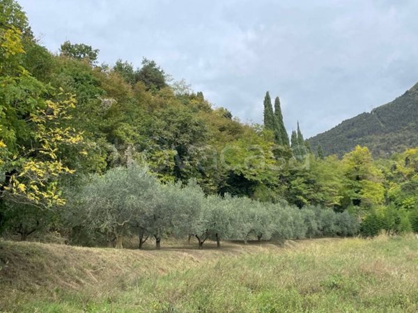 terreno agricolo in vendita a Caprino Veronese