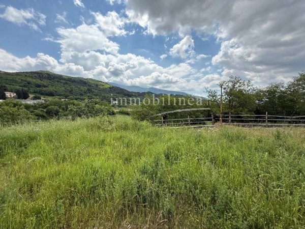 immagine annuncio 0 di 1