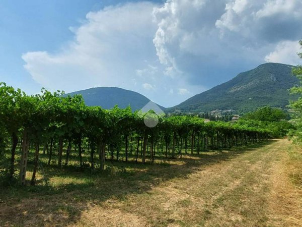 terreno agricolo in vendita a Caprino Veronese