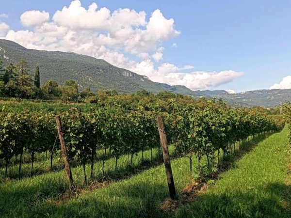 terreno agricolo in vendita a Caprino Veronese