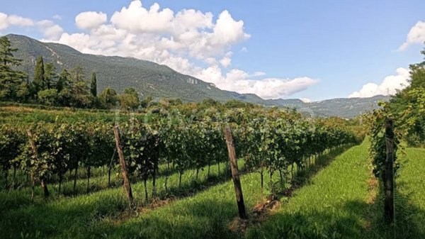 terreno agricolo in vendita a Caprino Veronese