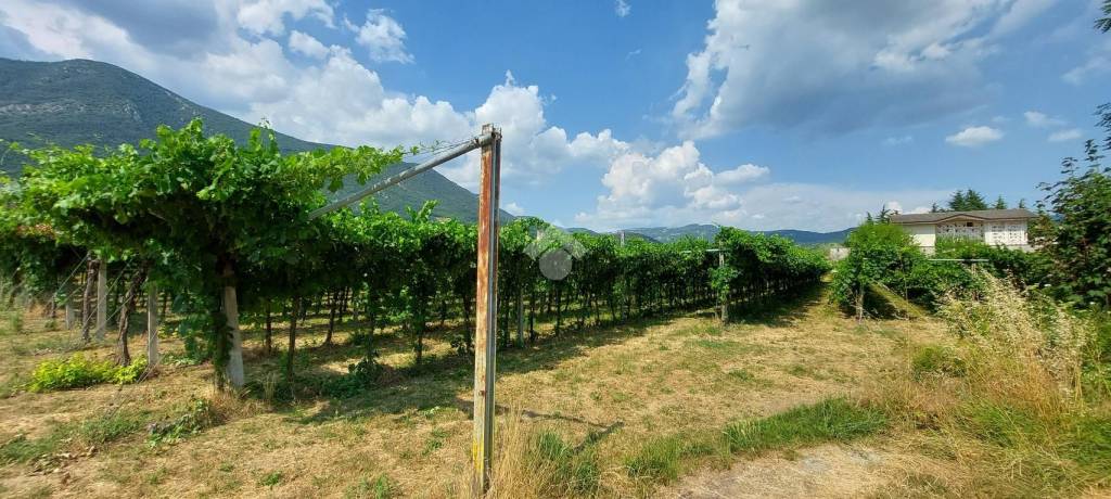 terreno agricolo in vendita a Caprino Veronese