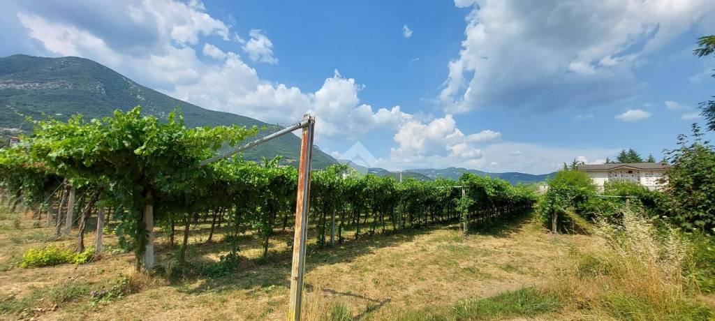 terreno agricolo in vendita a Caprino Veronese