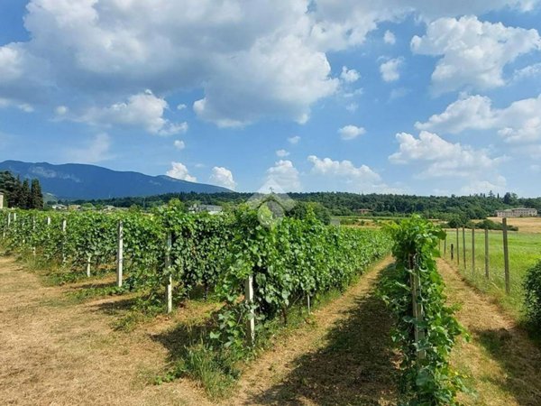 terreno agricolo in vendita a Caprino Veronese
