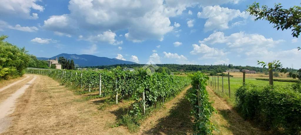 terreno agricolo in vendita a Caprino Veronese