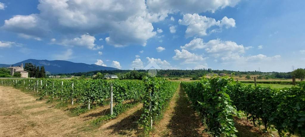 terreno agricolo in vendita a Caprino Veronese