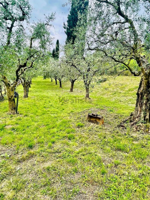 terreno agricolo in vendita a Caprino Veronese