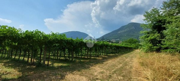 terreno agricolo in vendita a Caprino Veronese