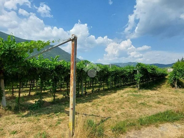 terreno agricolo in vendita a Caprino Veronese