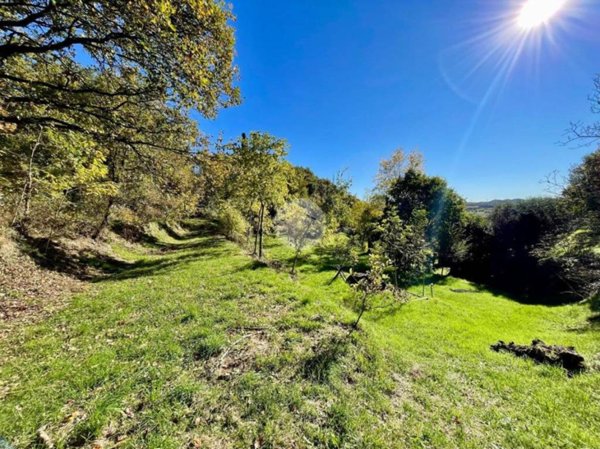 terreno agricolo in vendita a Caprino Veronese