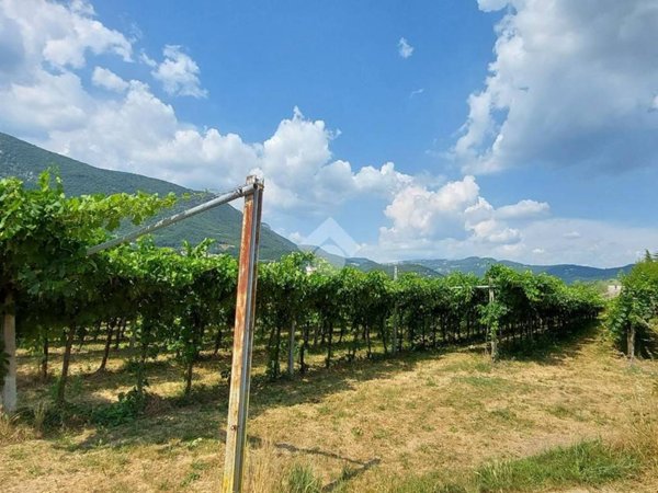 terreno agricolo in vendita a Caprino Veronese