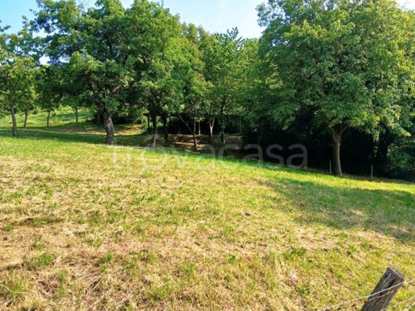 terreno agricolo in vendita a Caprino Veronese