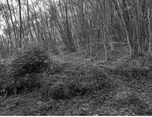 terreno edificabile in vendita a Caprino Veronese