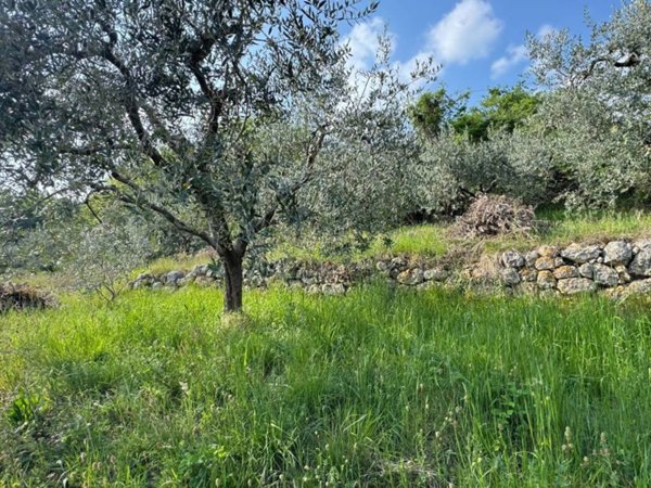 terreno agricolo in vendita a Caprino Veronese in zona Spiazzi