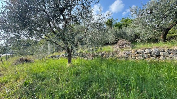 terreno agricolo in vendita a Caprino Veronese in zona Spiazzi