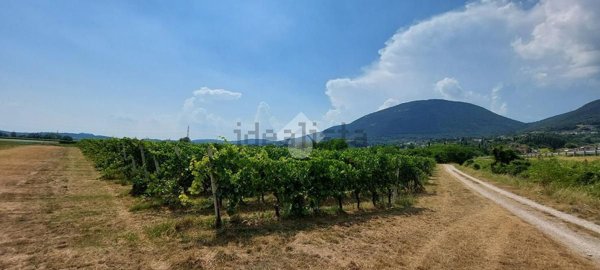 terreno agricolo in vendita a Caprino Veronese in zona Pesina