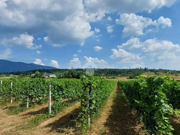terreno agricolo in vendita a Caprino Veronese in zona Pesina