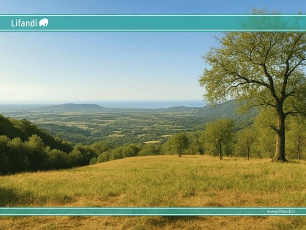 terreno in vendita a Caprino Veronese in zona Spiazzi