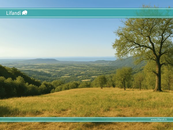 ufficio in vendita a Caprino Veronese in zona Spiazzi
