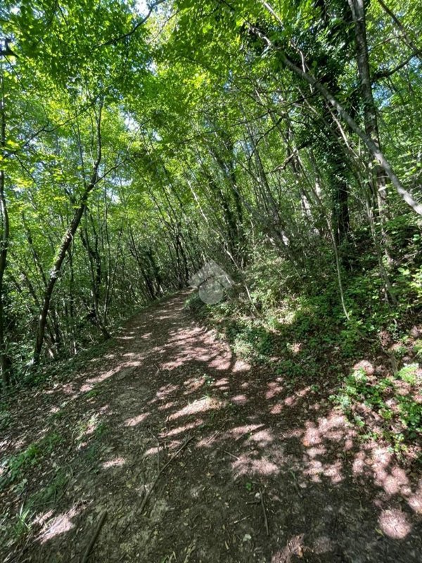 terreno in vendita a Caprino Veronese in zona Pesina