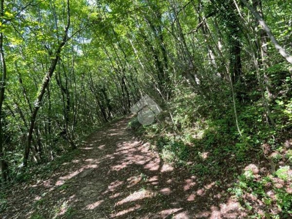 terreno in vendita a Caprino Veronese in zona Pesina
