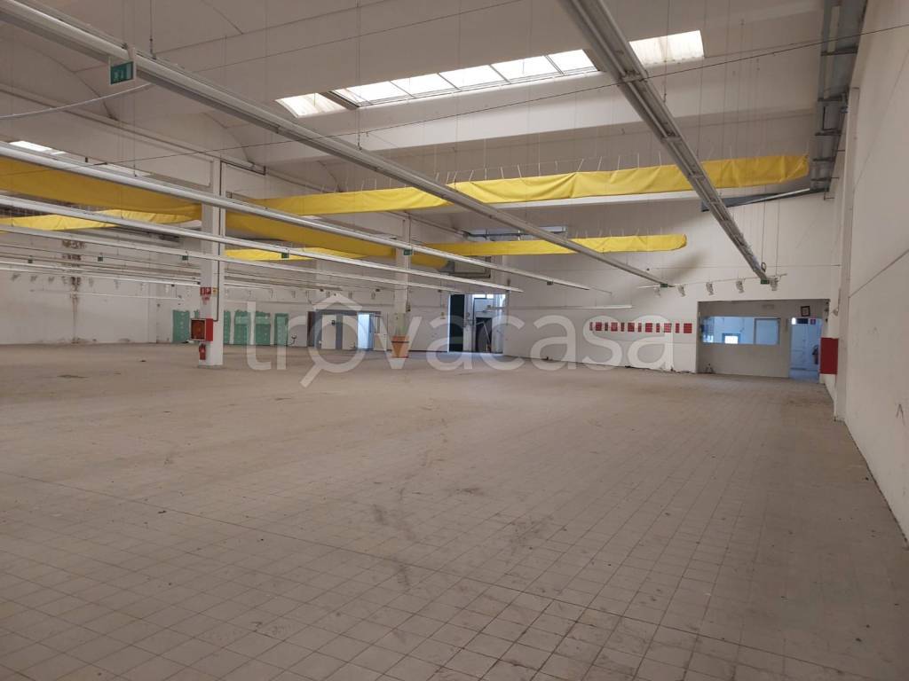 capannone in vendita a Casaleone in zona Venera