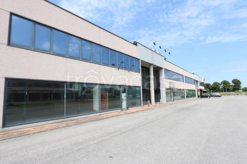 negozio in vendita a Casaleone in zona Venera